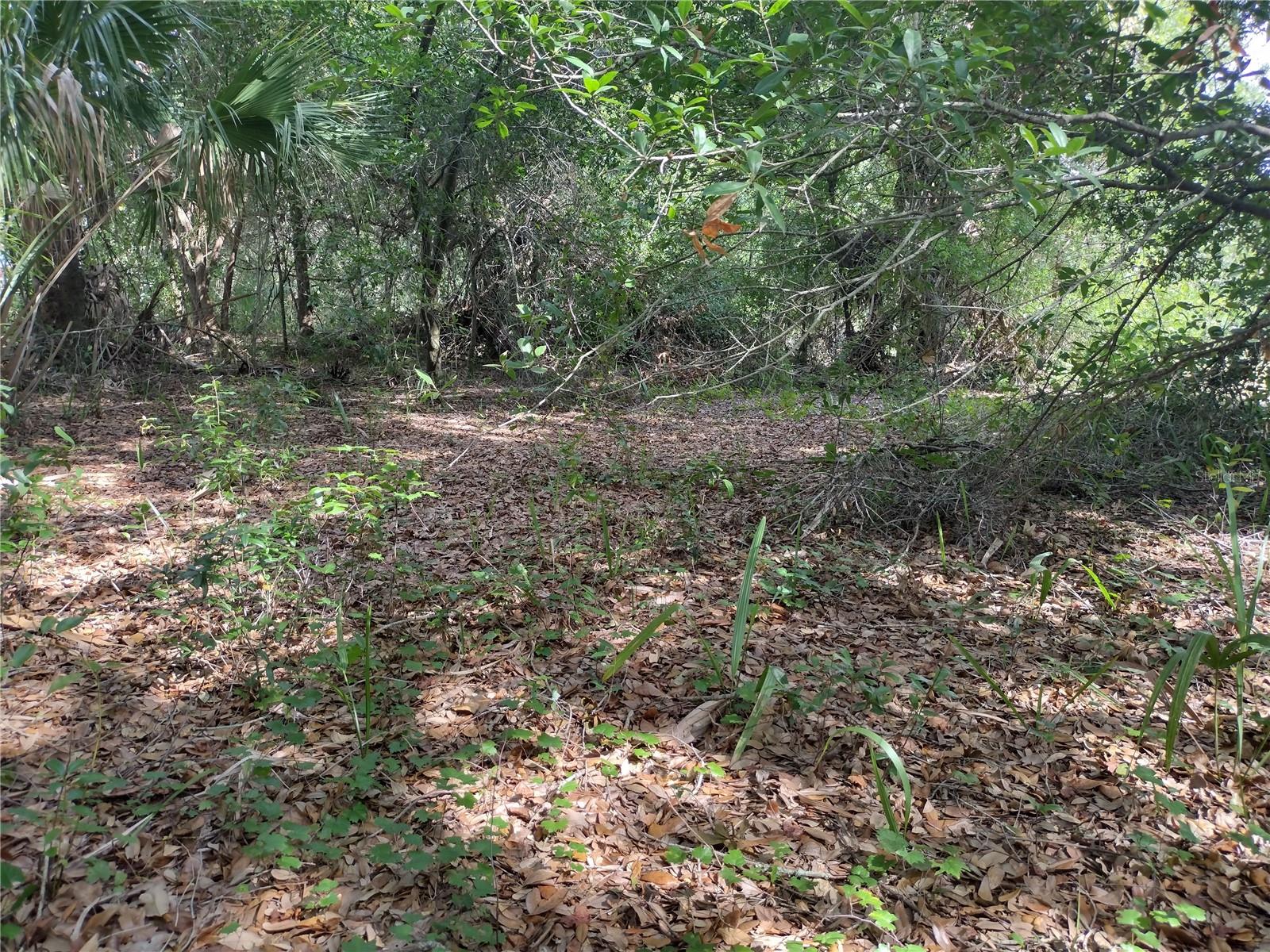 UNPLATTED - Land
