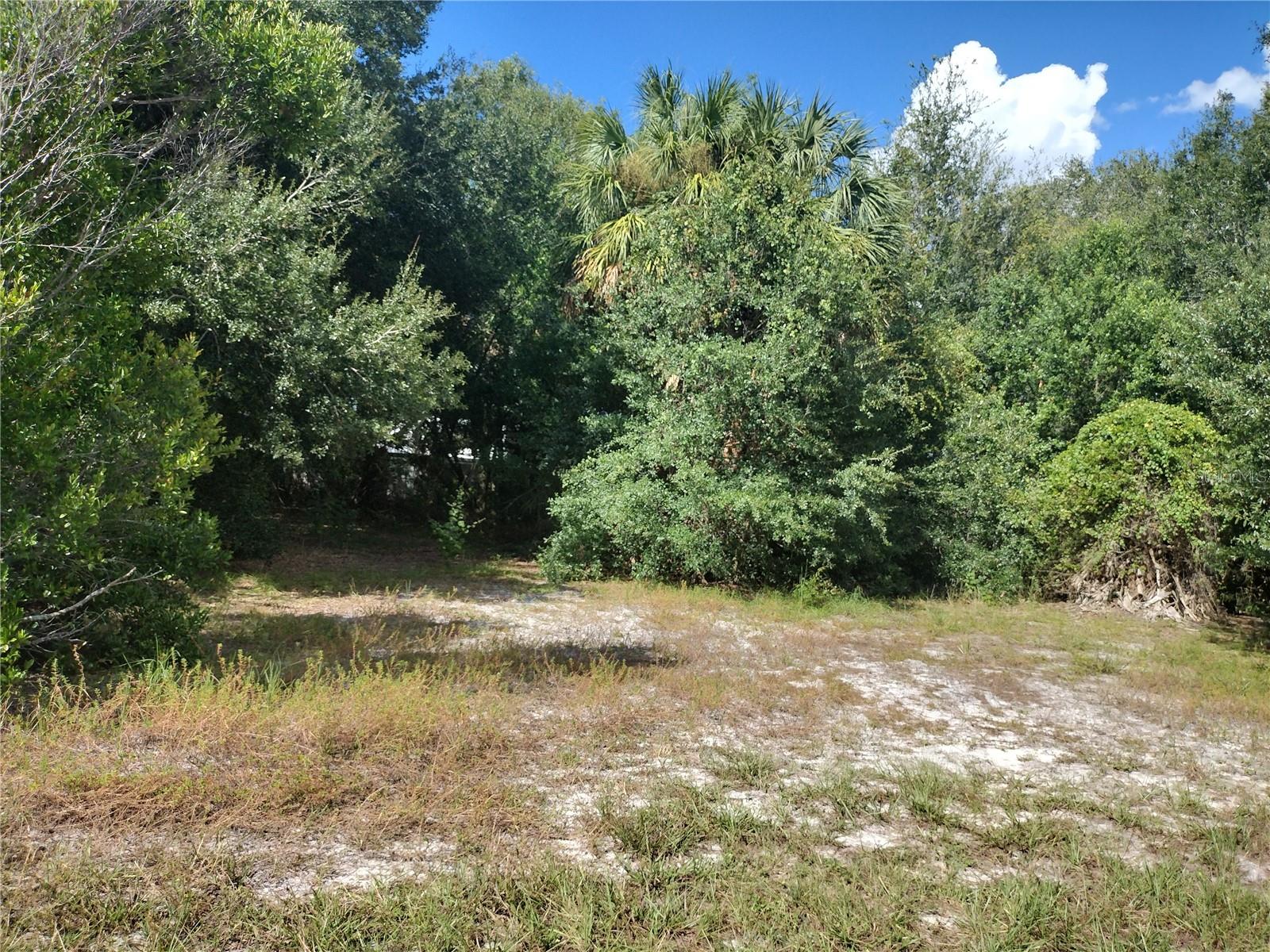 UNPLATTED - Land