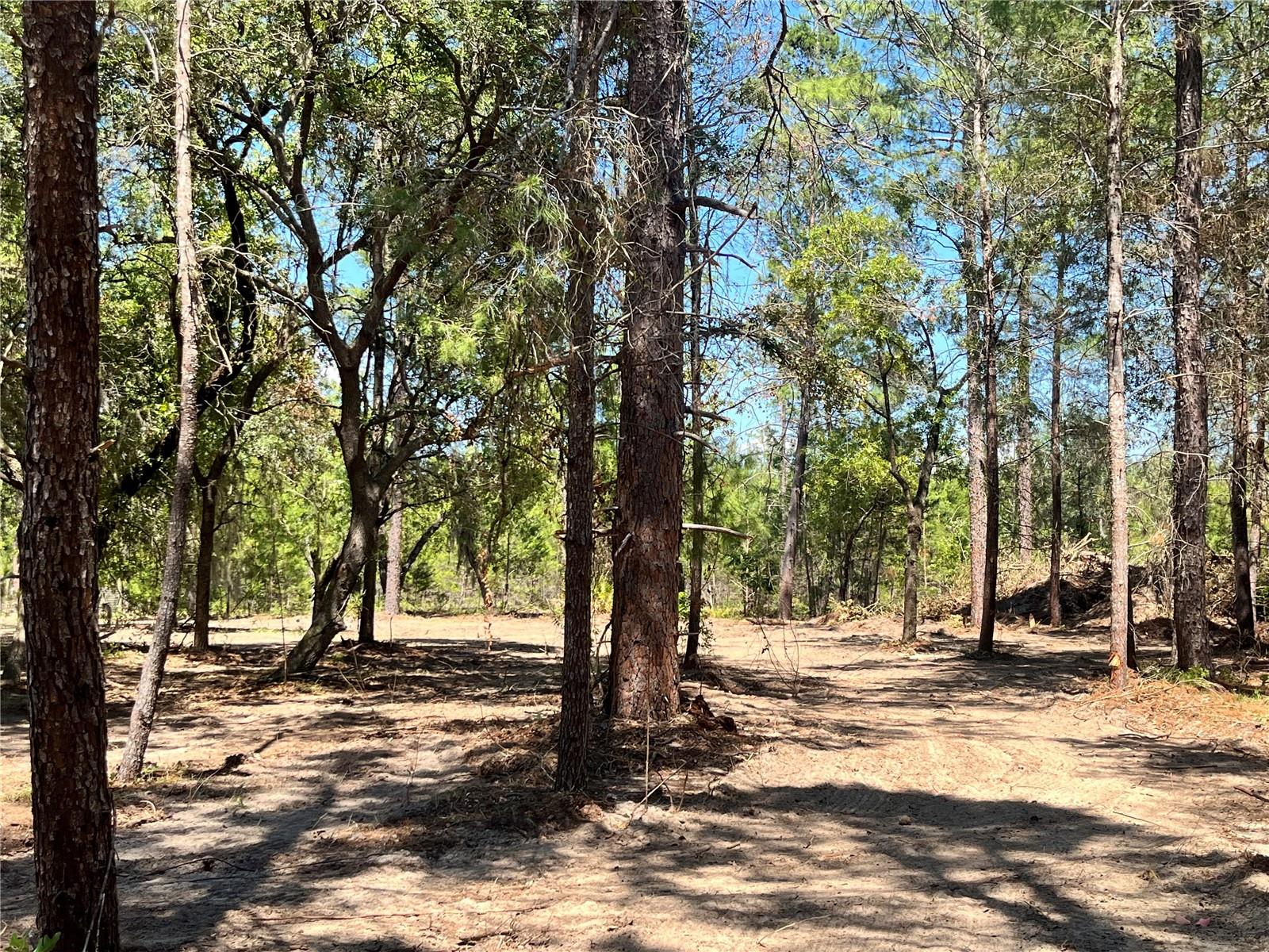 One acre wooded lot.  Driveway and house site have been cleared.   Manufactured homes allowed.