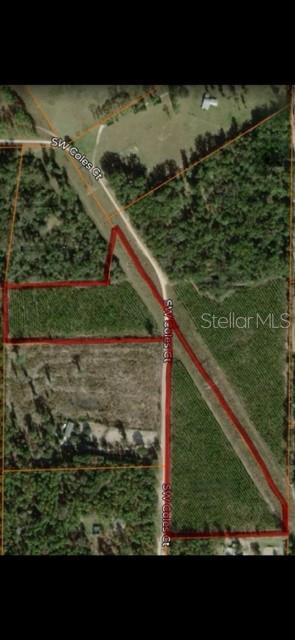 Discover the perfect blend of privacy, natural beauty, and opportunity on this 12.23- acre property in charming
Fort White, FL. Covered in mature pines, a potential future lumber value. Quit country road with easy access to
nearby amenities. Plenty of space for your dream home. Room for livestock, gardens and more. Enjoy the
serenity of nature while still being within driving distance of rivers, springs, and local conveniences. Don't miss
your chance to own a slice of Florida's natural beauty! * Additional 18.22 Acres available *