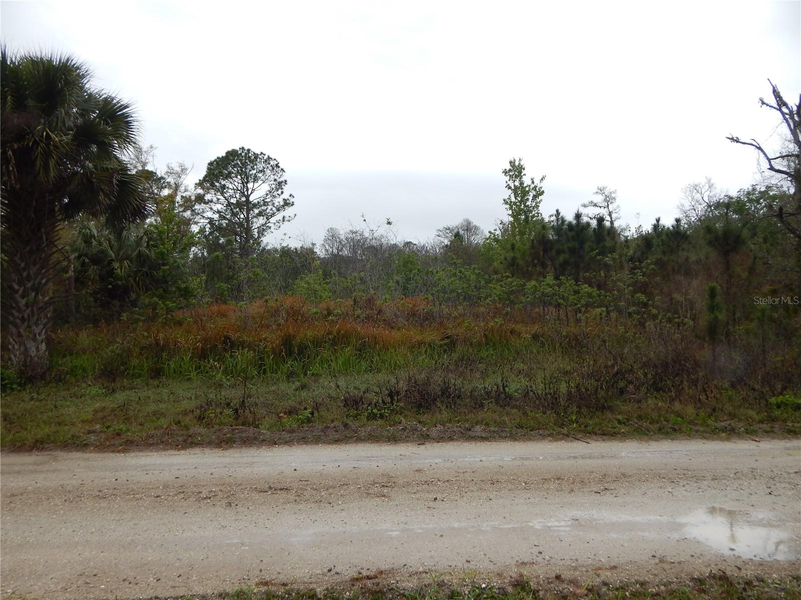***Vacant Land for Sale – 5.04 Acres in the serene Happy Trails Community in Kissimmee, FL***
If you’ve ever envisioned building your custom home in a peaceful, natural setting, this 5.04 acre parcel in the coveted Happy Trails community is exactly what you’ve been waiting for. Offering both space and tranquility, this rare opportunity provides ample room for your dream home, set against a backdrop of Florida’s stunning rural landscape.
Nestled within the charming Happy Trails community, this land is zoned OAE5, providing flexibility and a wide range of possibilities for development. With a minimum lot size of 5 acres, you'll enjoy privacy and a quiet environment, far from the hustle and bustle, yet just minutes away from essential amenities.
Located in Kissimmee, FL, this spacious parcel is a gem in an area where 5+ acre lots are becoming increasingly rare. The tranquil setting makes it perfect for building a private retreat, while being conveniently close to local hubs like Champions Gate for all your shopping, dining, and entertainment needs.
For commuters and adventure seekers alike, the property offers easy access to Interstate 4 (I-4), the main highway connecting Orlando and Tampa. Even better, the iconic Walt Disney World and other Orlando attractions are just minutes away, offering world-class entertainment and dining options for you, your family, and your guests.
The flexibility to choose your own builder means you have the freedom to create a home tailored to your vision and lifestyle. Whether it’s a cozy escape or a spacious family residence, this lot provides the perfect foundation for your dream home.
Picture family gatherings, serene outdoor spaces, and the beauty of nature, all while enjoying the proximity to some of Florida’s most sought-after destinations. Don’t miss out on this incredible opportunity to own a piece of paradise in a community that will only grow in value over time.
Contact us today to make this dream property yours!