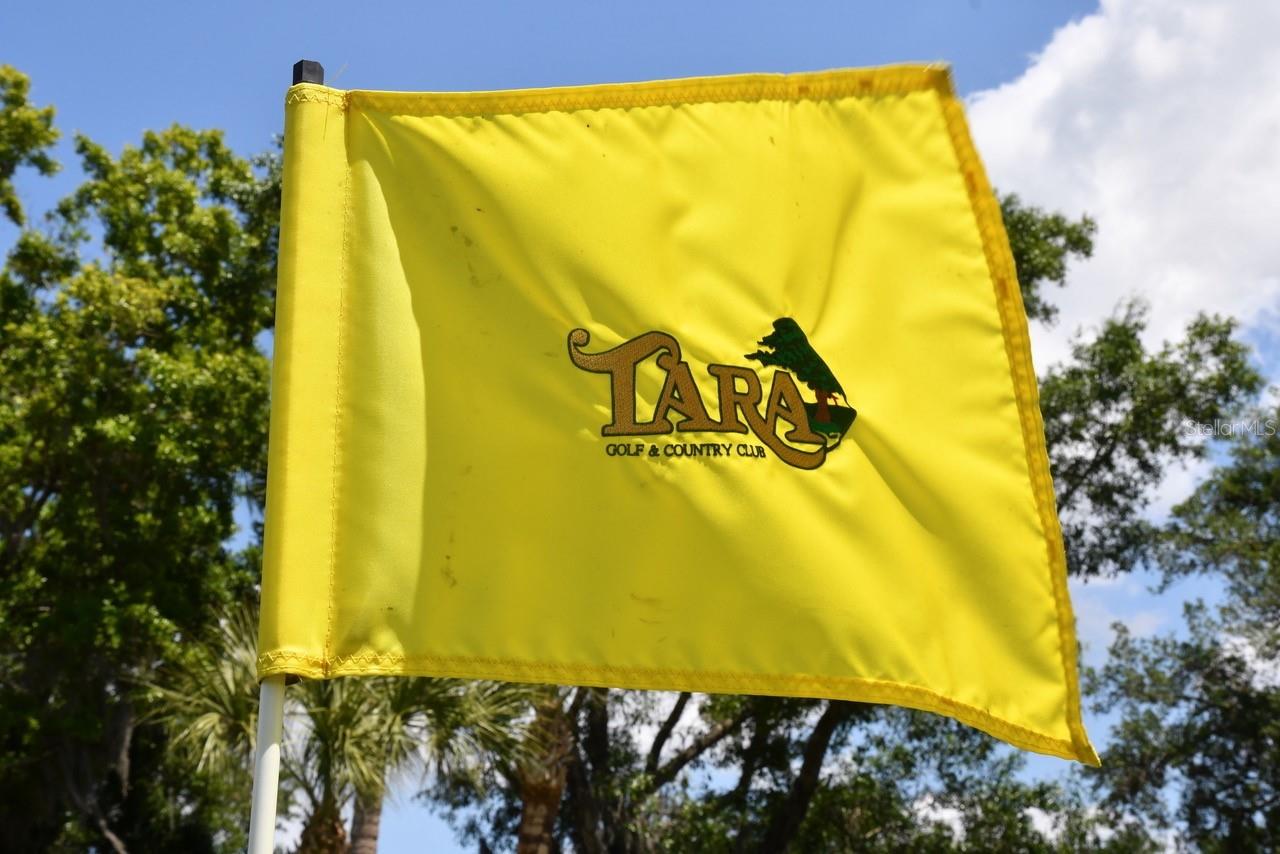 VILLAS AT TARA - Residential