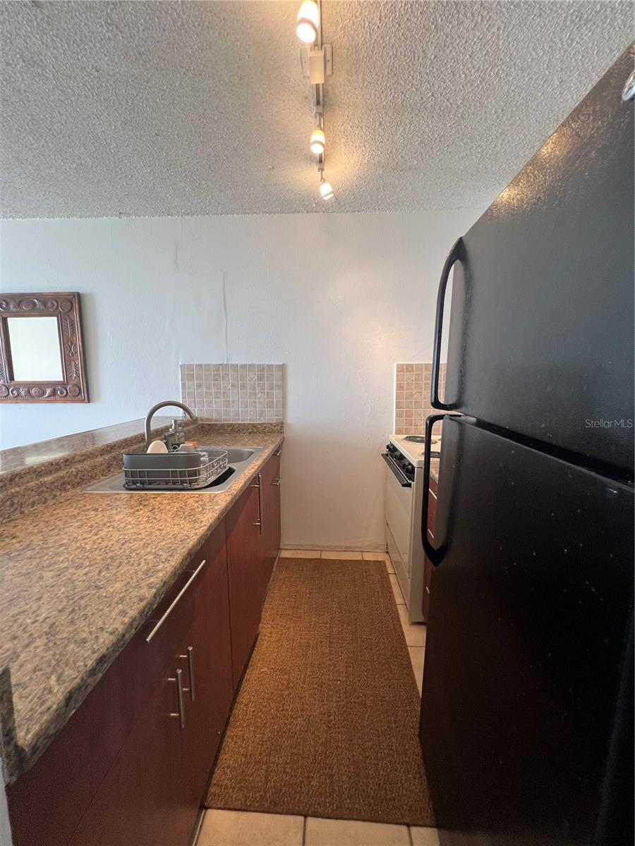 DEL SOL CONDOMINIUM - Residential
