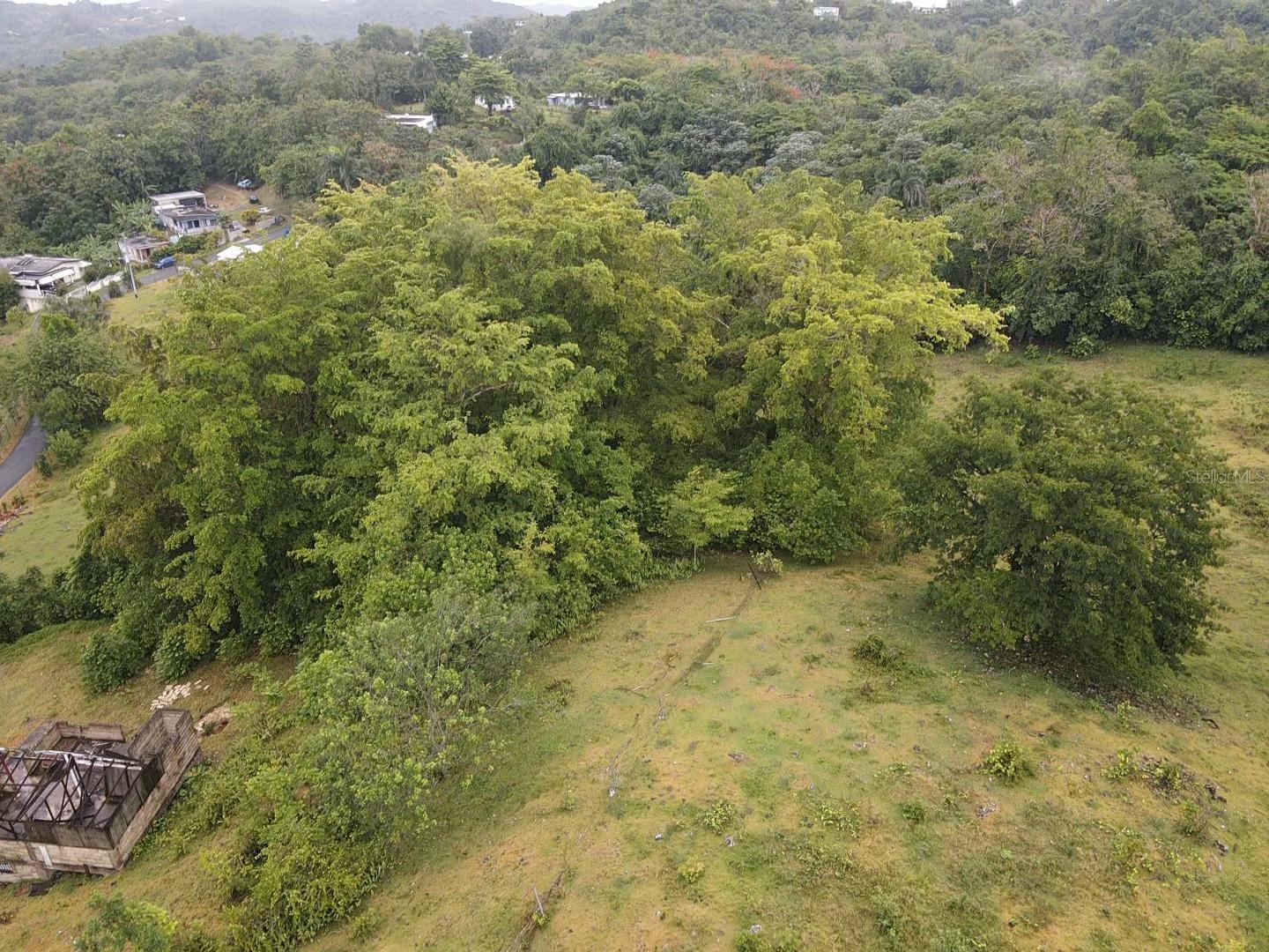 BUENA VISTA - MOROVIS NORTE WARD - Land