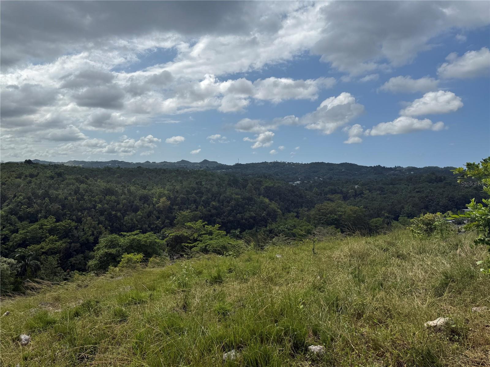 BUENA VISTA - MOROVIS NORTE WARD - Land