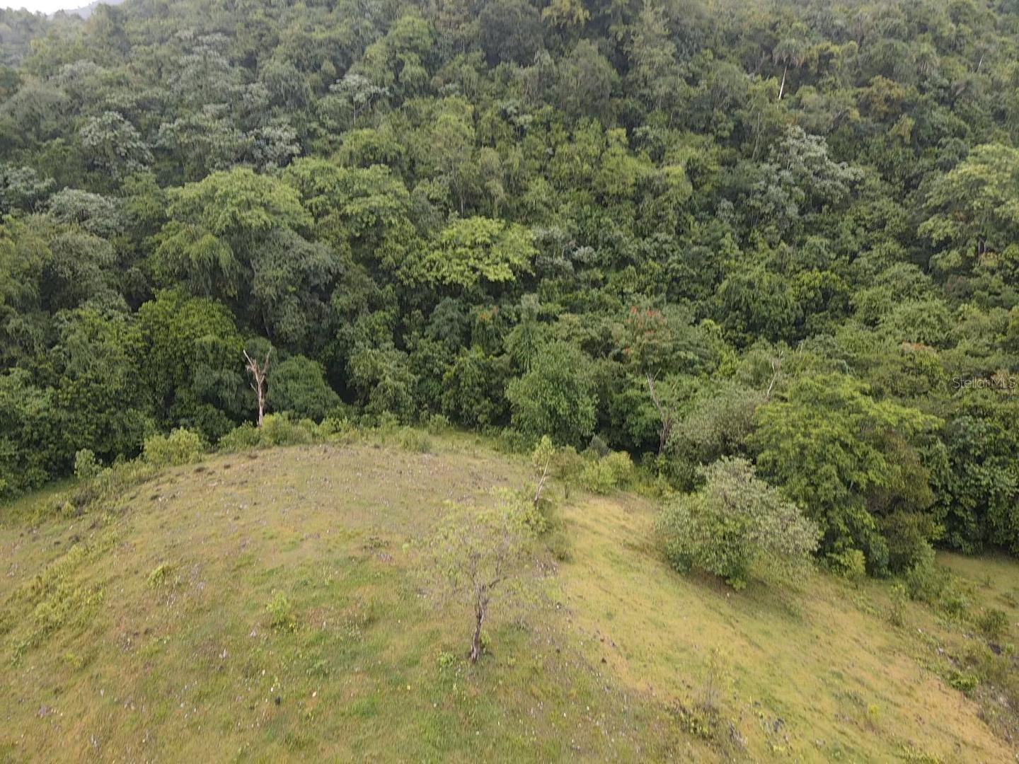 BUENA VISTA - MOROVIS NORTE WARD - Land