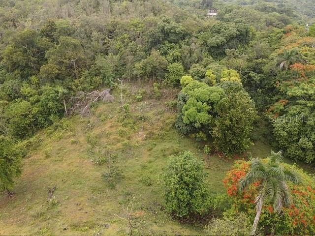 BUENA VISTA - MOROVIS NORTE WARD - Land
