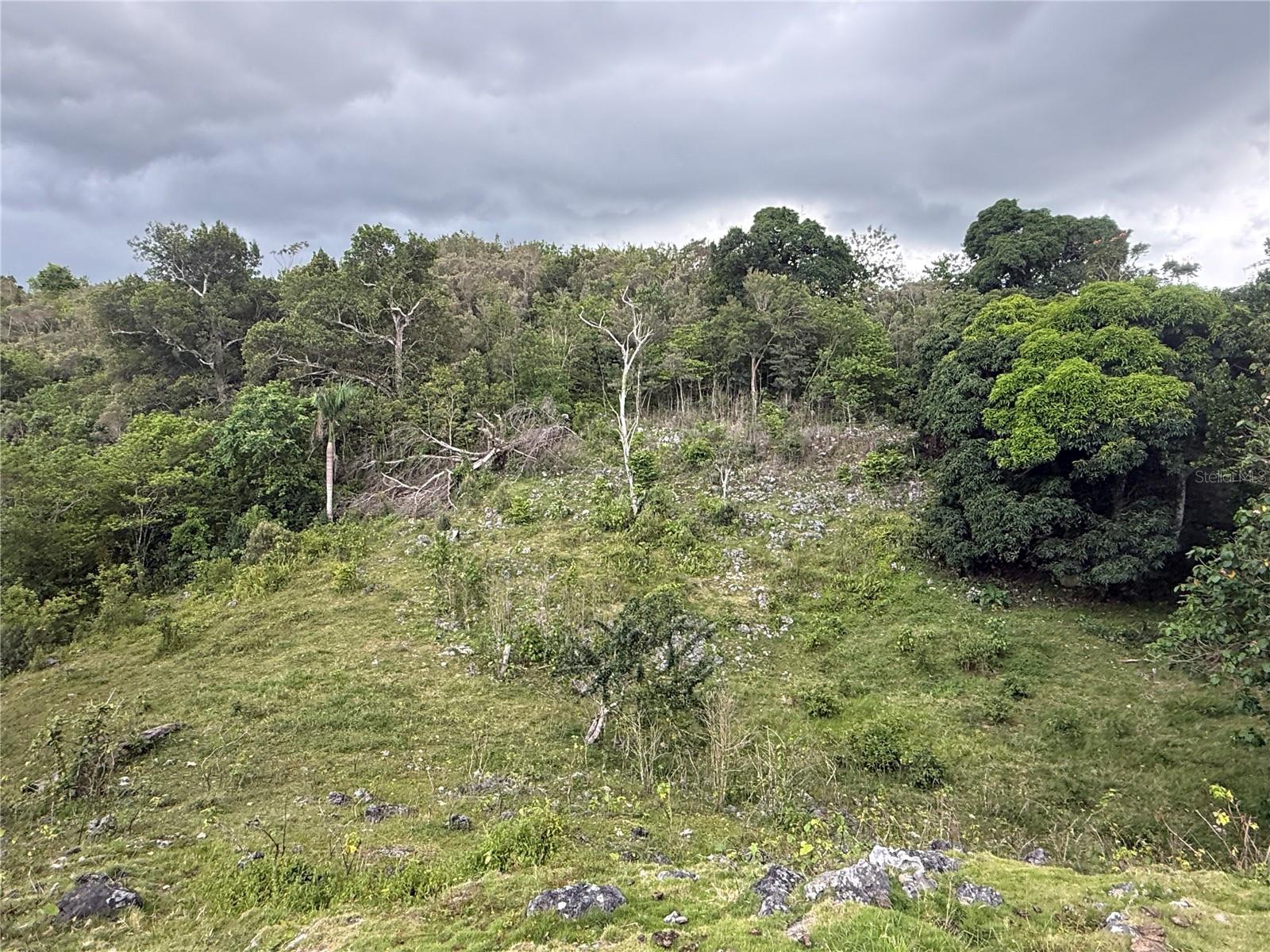BUENA VISTA - MOROVIS NORTE WARD - Land