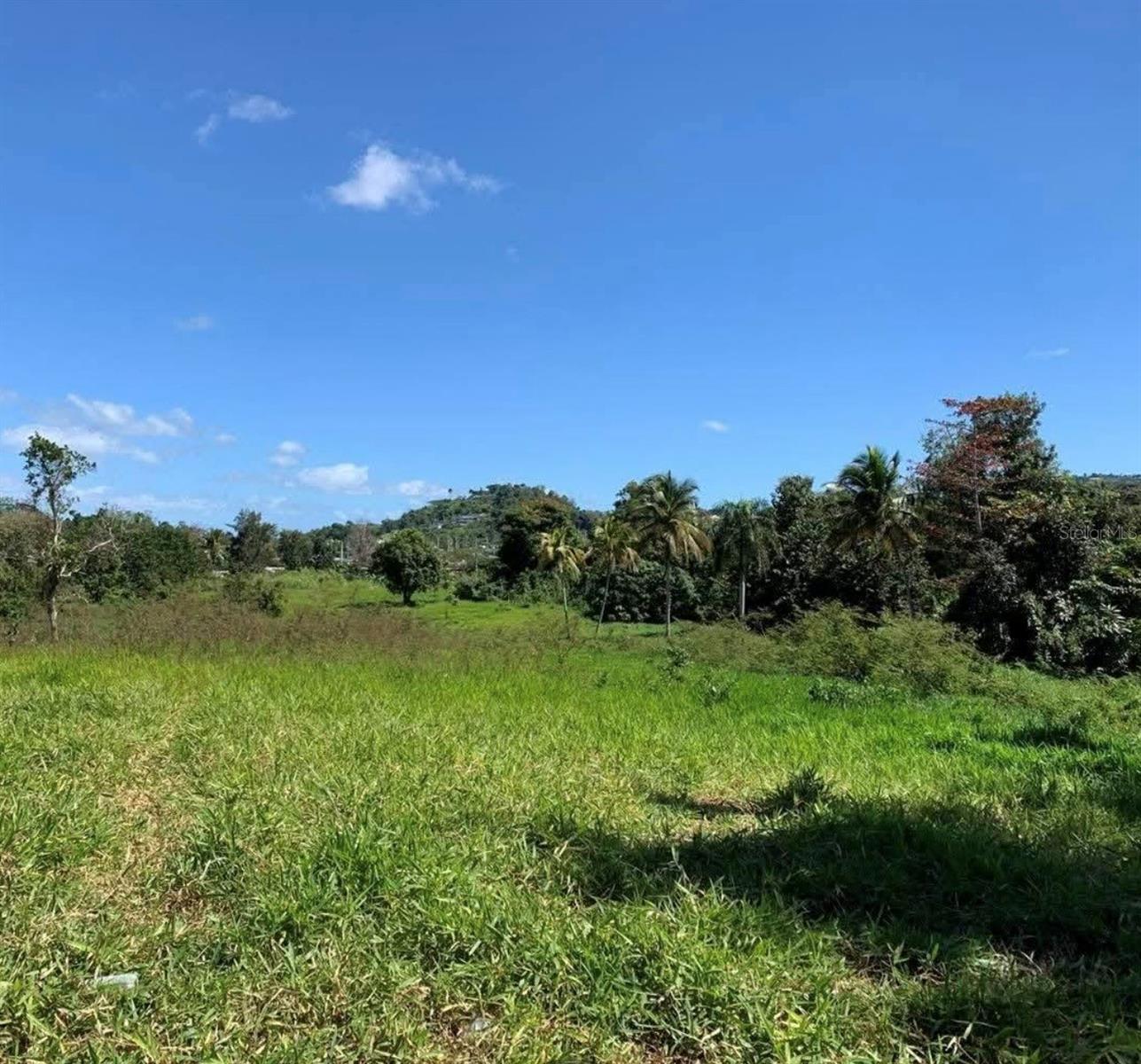 A Unique Sustainable Investment Opportunity. 18 acres approx of land with access to a spring waterway. The perfect balance between nature conservation and income-generating development. This stunning property combines natural majesty and ecological preservation with an ideal area for construction or the development of your dream project. Sustainability: Ideal for projects aligned with eco-tourism or a lifestyle in complete harmony with nature. Privacy and Scenery: A peaceful setting surrounded by native flora and fauna, featuring a manageable area ready for immediate development. Access: A strategic rural location offering connectivity that allows for both passive enjoyment and access to services. The area is subject to specific environmental and development considerations; it is encouraged to perform a due diligence and address all development proposals through the Puerto Rico Planning Board and the Puerto Rico Permits Management Office. Contact us today and make this property part of your project vision!