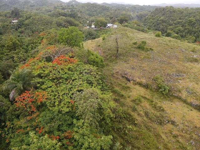 BUENA VISTA - MOROVIS NORTE WARD - Land