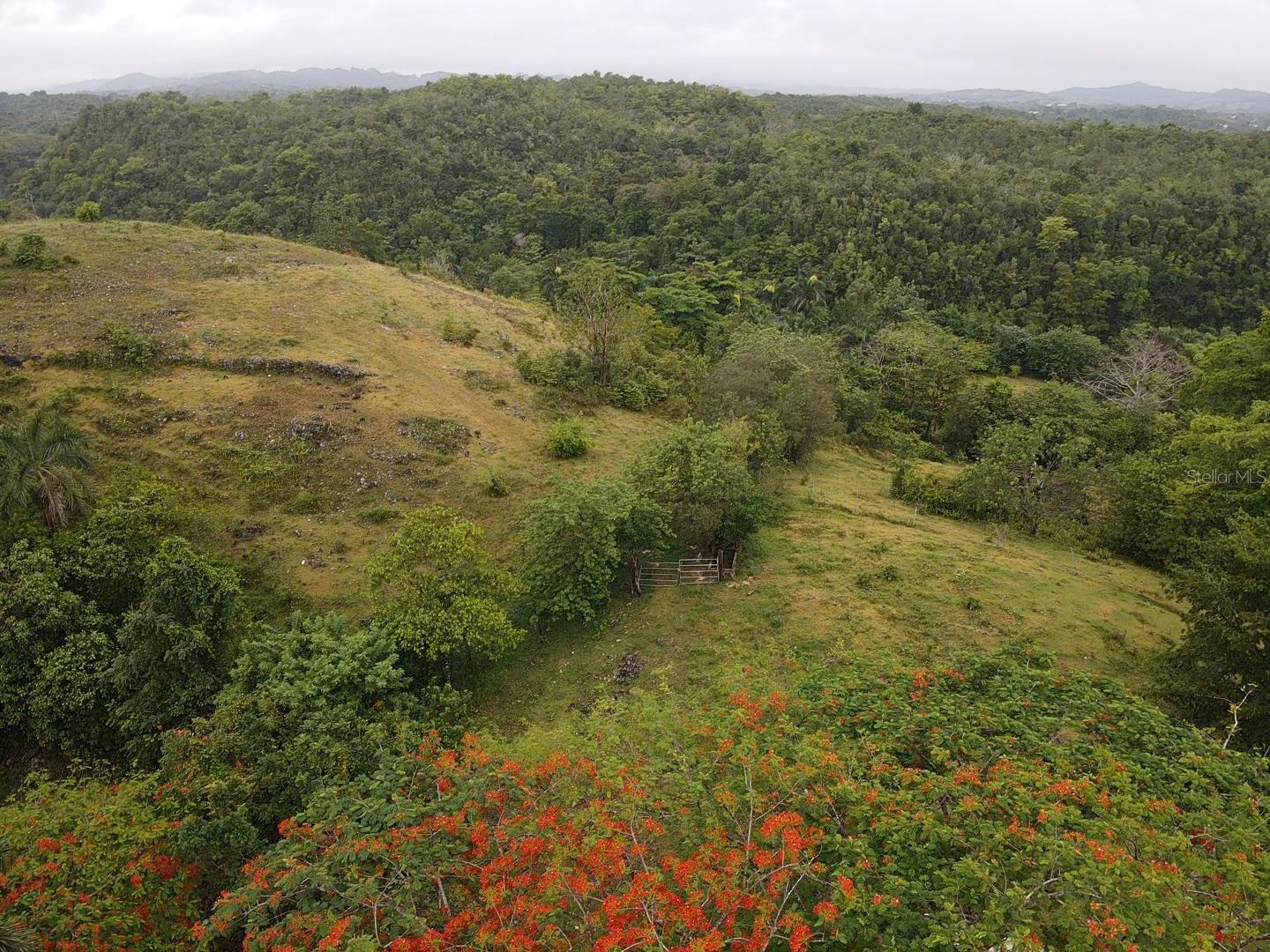 BUENA VISTA - MOROVIS NORTE WARD - Land