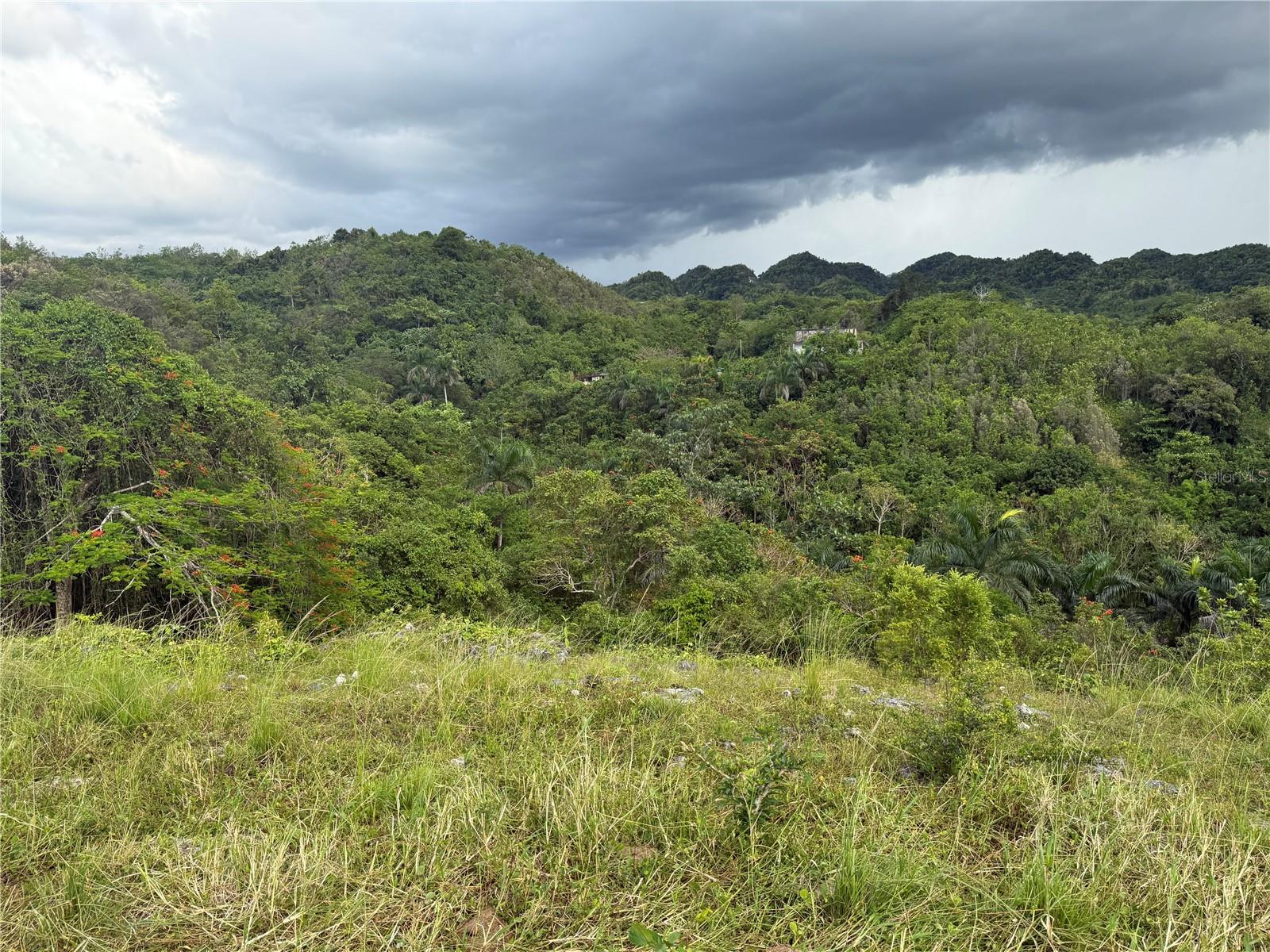 BUENA VISTA - MOROVIS NORTE WARD - Land