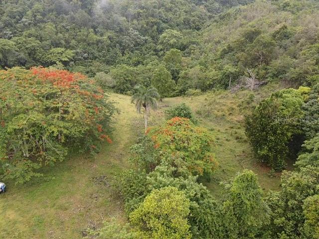 BUENA VISTA - MOROVIS NORTE WARD - Land