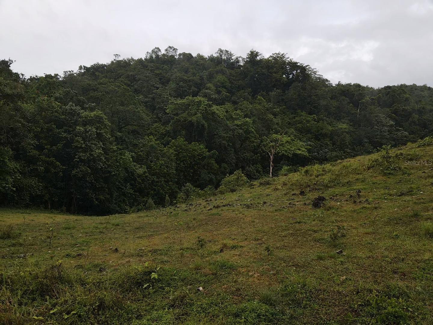 BUENA VISTA - MOROVIS NORTE WARD - Land