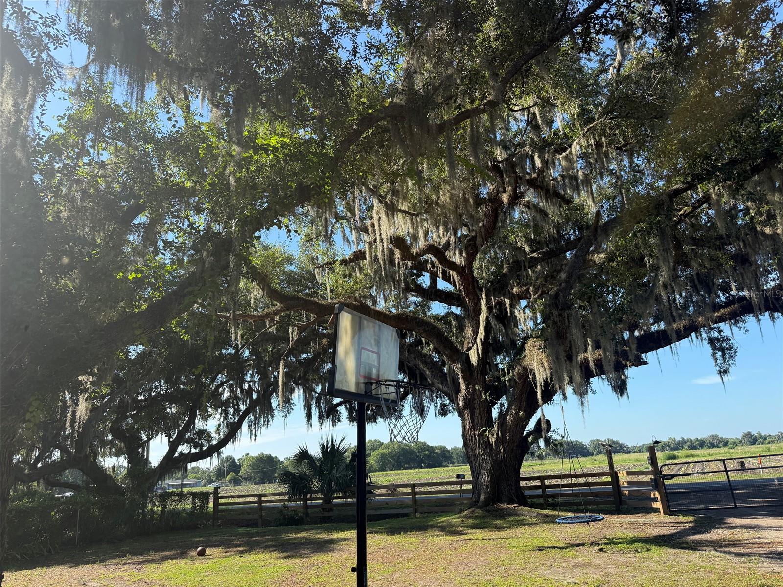 WEBB RANCH ACRES - Residential