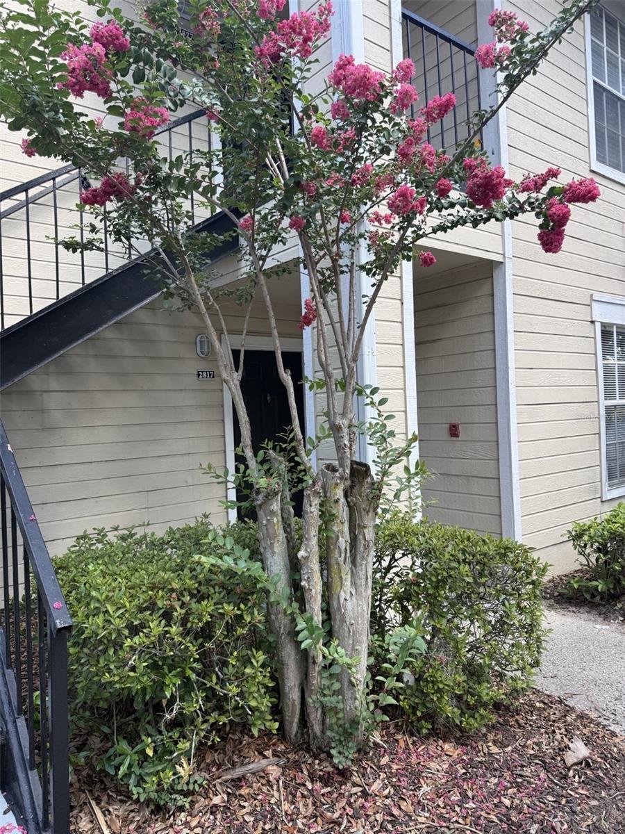TRADEWINDS - Residential