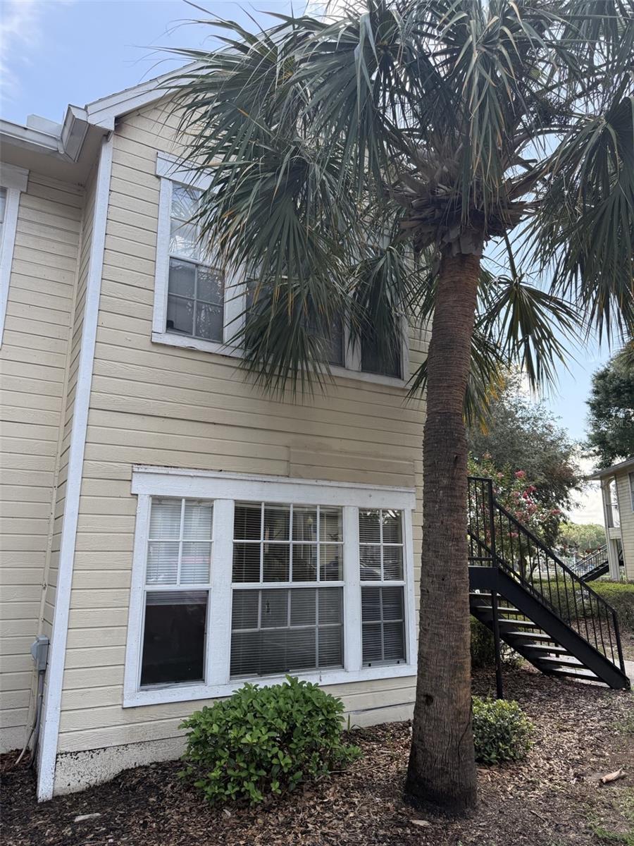TRADEWINDS - Residential