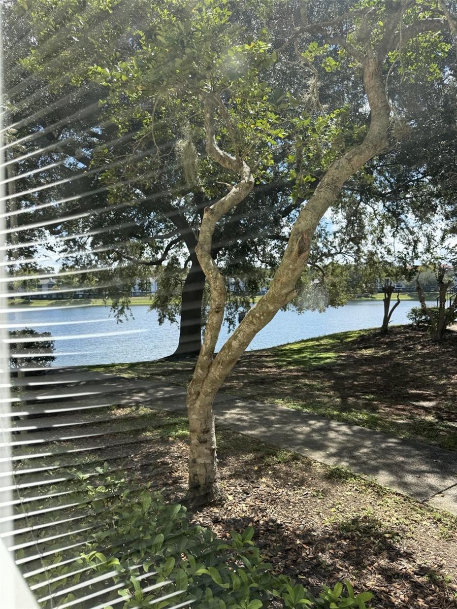 TRADEWINDS - Residential