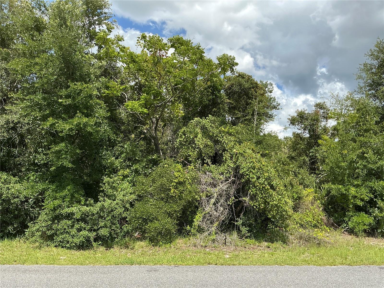 Discover the perfect place to build your dream home on this spacious 0.33-acre corner lot in the growing Marion Oaks community of Ocala, Florida. This build-ready property offers valuable features, including paved road frontage, power available, and water availability, making the development process even more convenient. The lot has been inspected with no wetlands and no gopher tortoise burrows reported, providing added confidence for future construction. Located in a desirable residential area surrounded by newer homes, this oversized corner parcel offers extra flexibility for home design, landscaping, and outdoor living spaces. Enjoy easy access to shopping, dining, schools, medical facilities, parks, and major highways while still enjoying the peaceful atmosphere Marion Oaks is known for. Whether you're looking to build now or invest for the future, this high-potential Ocala homesite combines size, location, and utility availability in one outstanding opportunity. Don't miss your chance to own a prime corner lot in one of Marion County's fastest-growing communities.