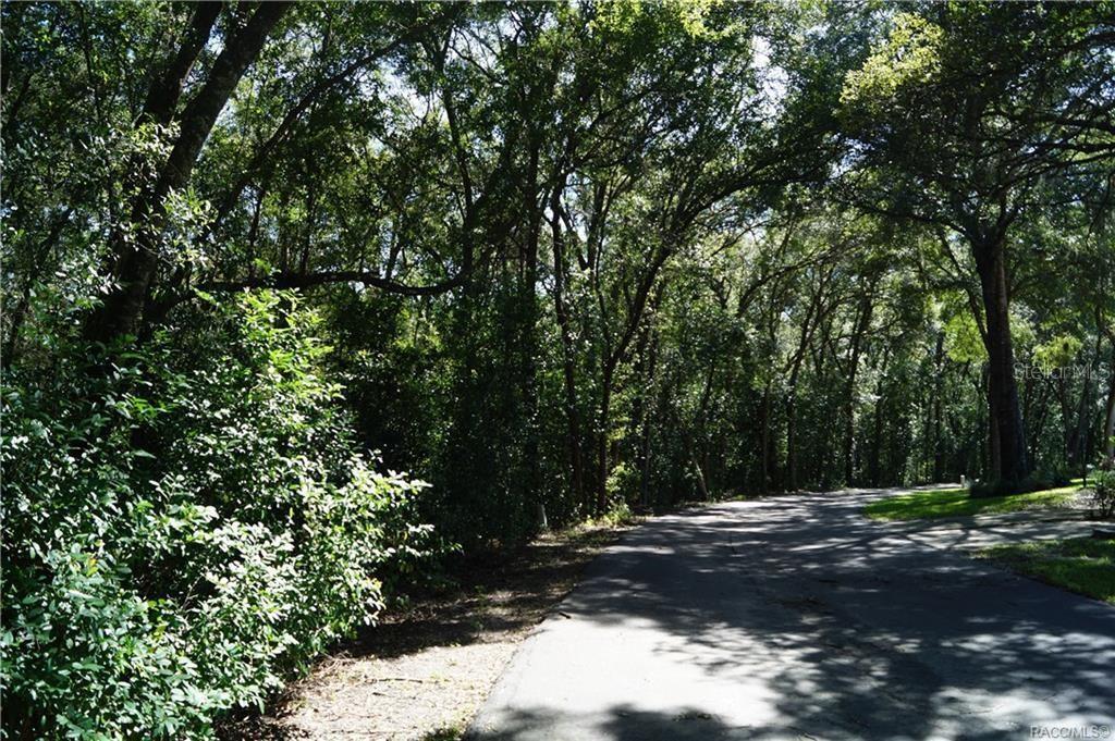 CALLING ALL BUILDERS & DEVELOPERS! RARE INVESTMENT OPPORTUNITY in The Glen, a desirable 55+ community in Beverly Hills! Offering 6 contiguous platted lots approved for 3 duplex buildings (6 total units). Expand this charming villa-style neighborhood surrounded by mature oaks & pines in a park-like setting. Conveniently located near the Beverly Hills Community Center, shopping, dining, medical & more. Adjacent to Central Ridge Park with tennis, shuffleboard, walking trails & picnic areas. Public water & sewer available. HOA fees begin only after development. Once built, low HOA covers exterior maintenance incl. lawn care, roof, exterior paint, irrigation, trash & basic internet/cable. Demand for quality 55+ housing is growing - don’t miss this rare opportunity to build value & enhance a well-loved community!