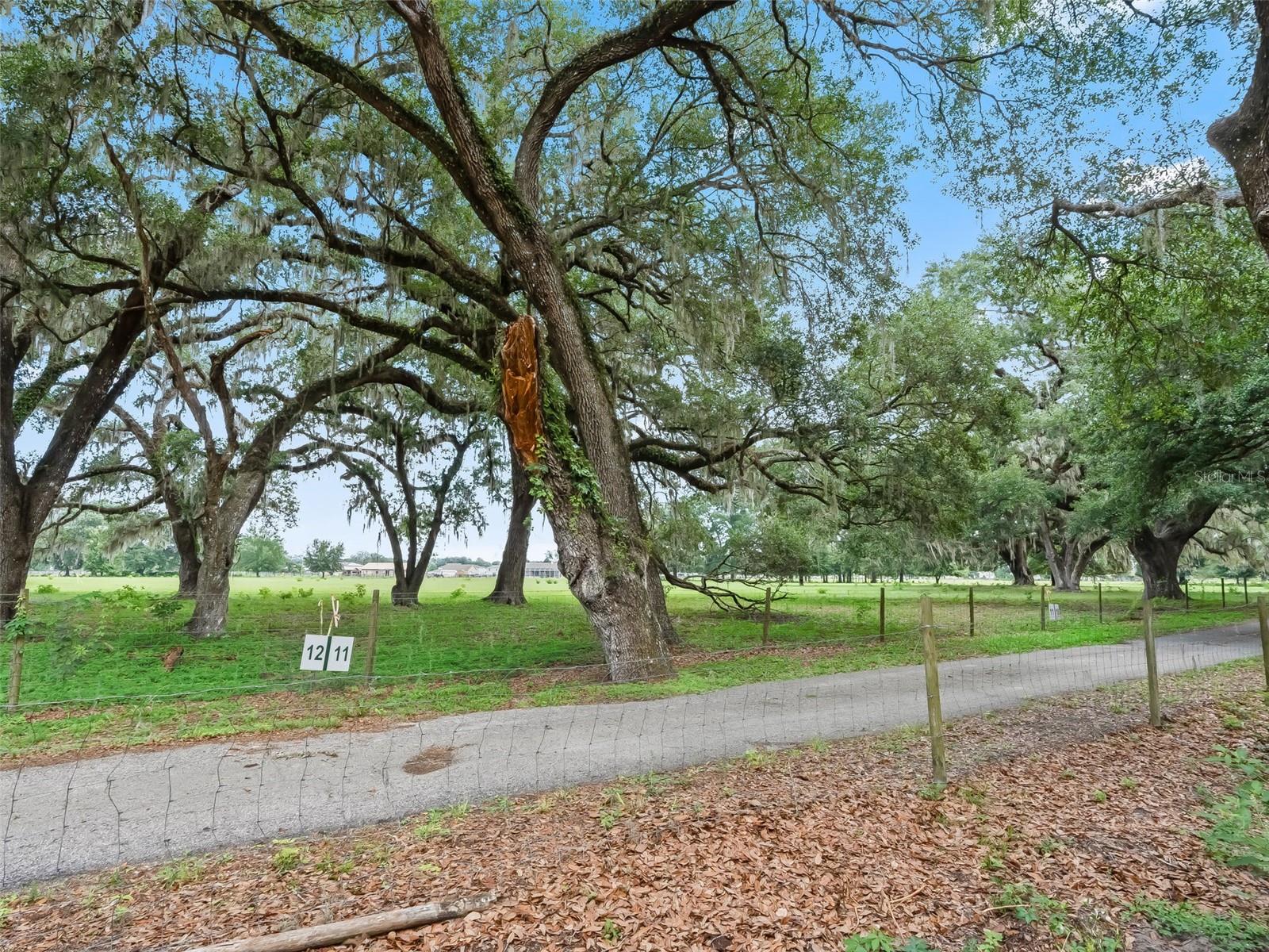 12 OAKS CLUB & LODGE - Land