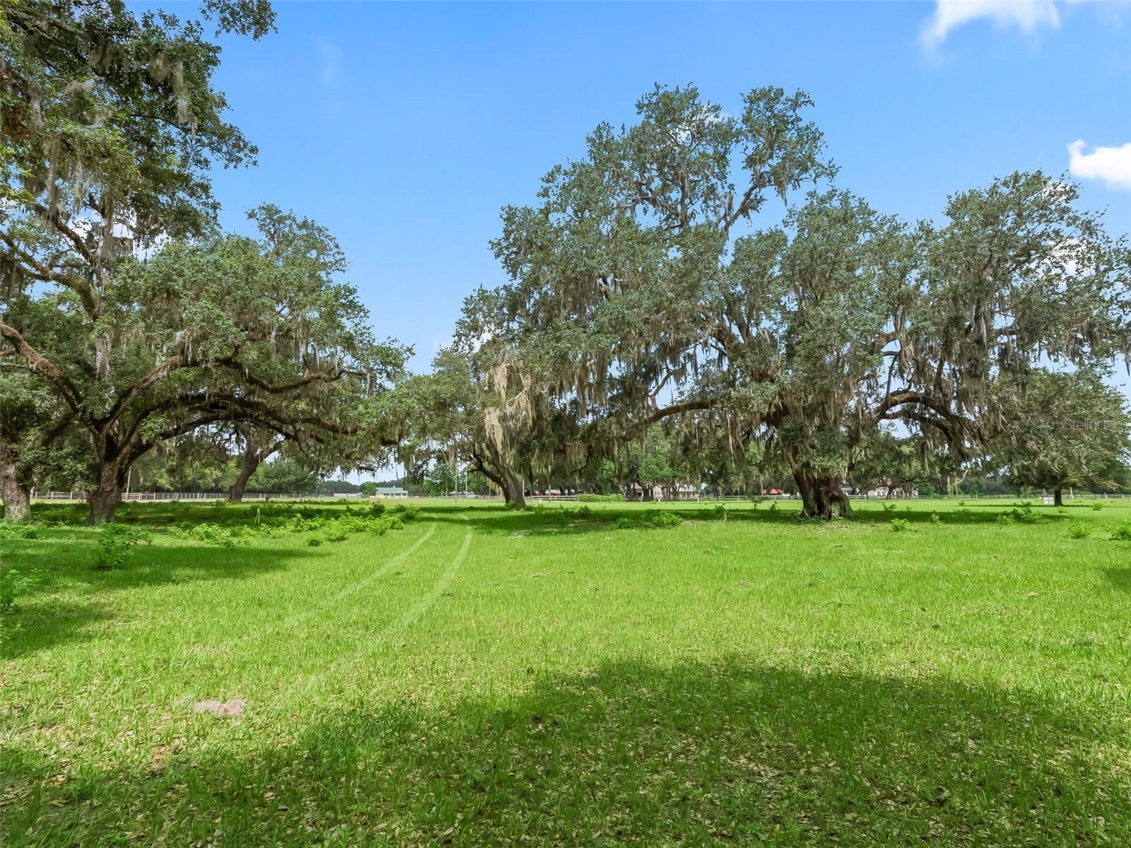 12 OAKS CLUB & LODGE - Land