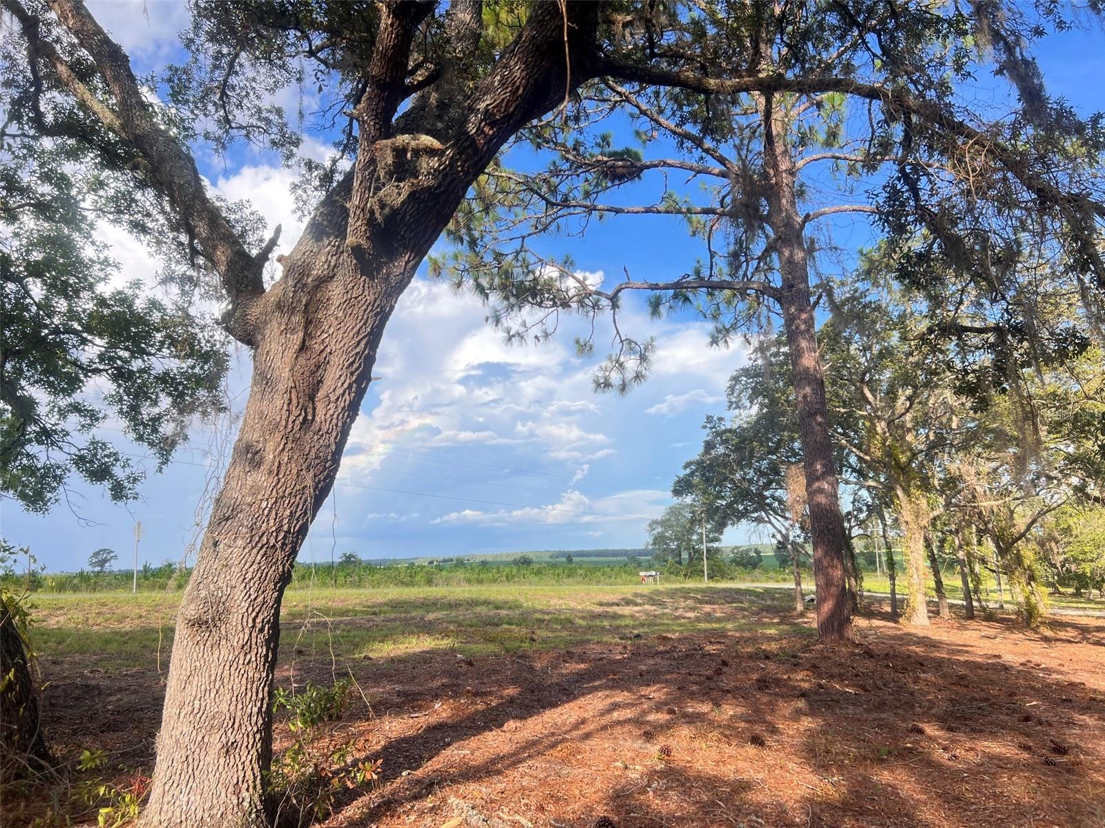 Wake up to breathtaking views of Levy County’s rolling farmland from this beautiful 2-acre property consisting of two adjoining 1-acre parcels. Mostly cleared and ready for your vision, this unique property offers the flexibility to build your dream home, place a manufactured home, or even tiny homes (subject to county regulations). Because the property is comprised of two separate legal lots, there is potential for one home on each parcel, making it an excellent opportunity for extended family, rental income, or future investment.

Enjoy approximately 420 feet of frontage along paved E. Levy Street, while the adjoining county-maintained dirt roads on both sides provide convenient options for private driveway access without entering directly from the paved road. The beautiful country setting offers peace, privacy, and some of the prettiest views you’ll find in the area.

High-speed internet is available, allowing you to enjoy rural living while staying connected. Bring your horses, build your dream workshop, start a garden, or simply relax and enjoy the open skies and scenic countryside.

Outdoor enthusiasts will love the location! You’re just minutes from the Goethe Trailhead, with miles of horseback riding, hiking, and biking trails through the Goethe State Forest, and only a short drive from Black Prong Equestrian Village, one of Florida’s premier equestrian destinations featuring horse trails, events, dining, and lodging.

Whether you’re looking for a peaceful country retreat, a place to build now and expand later, or an investment with exceptional flexibility, this property offers a rare combination of beautiful views, multiple access points, modern conveniences, and an outstanding location.