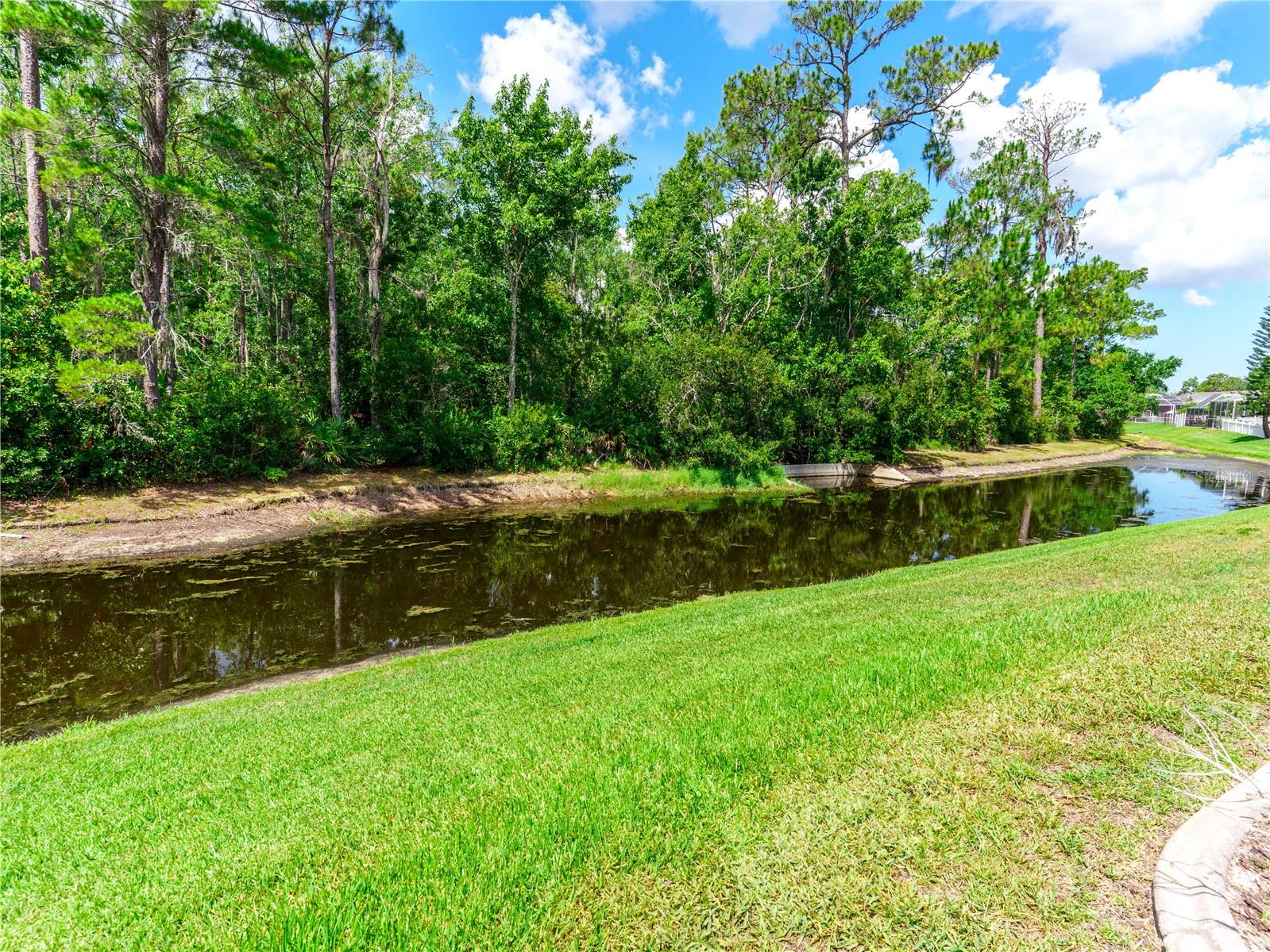 ROSEWOOD AT RIVER RIDGE PH 03A - Residential