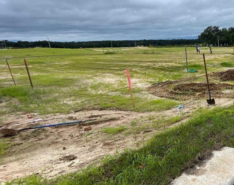 Discover the perfect opportunity to build your dream home on this spacious 0.23-acre lot located in a growing new community of Tara Forest East, in the City of Alachua, Florida. This homesite offers the flexibility of an open builder program, allowing you to choose your own builder and design a home that fits your unique style, needs, and lifestyle.

Set within a thoughtfully planned neighborhood, the property provides a peaceful setting while still being conveniently located near local shops, dining, parks, and major roadways for easy commuting. Whether you envision a modern retreat, a traditional design, or something entirely your own, this lot gives you the freedom to bring your vision to life.

Enjoy the benefits of new community living with the added advantage of personalization. This is a great opportunity for anyone looking to build a primary residence or investment property in a developing area with strong future potential.

Don’t miss your chance to secure a versatile homesite in one of Alachua’s up-and-coming communities.

Lots 61, 62, 63, 64, 65, 79, 80, 81, and 82 are also available for the same price per lot.