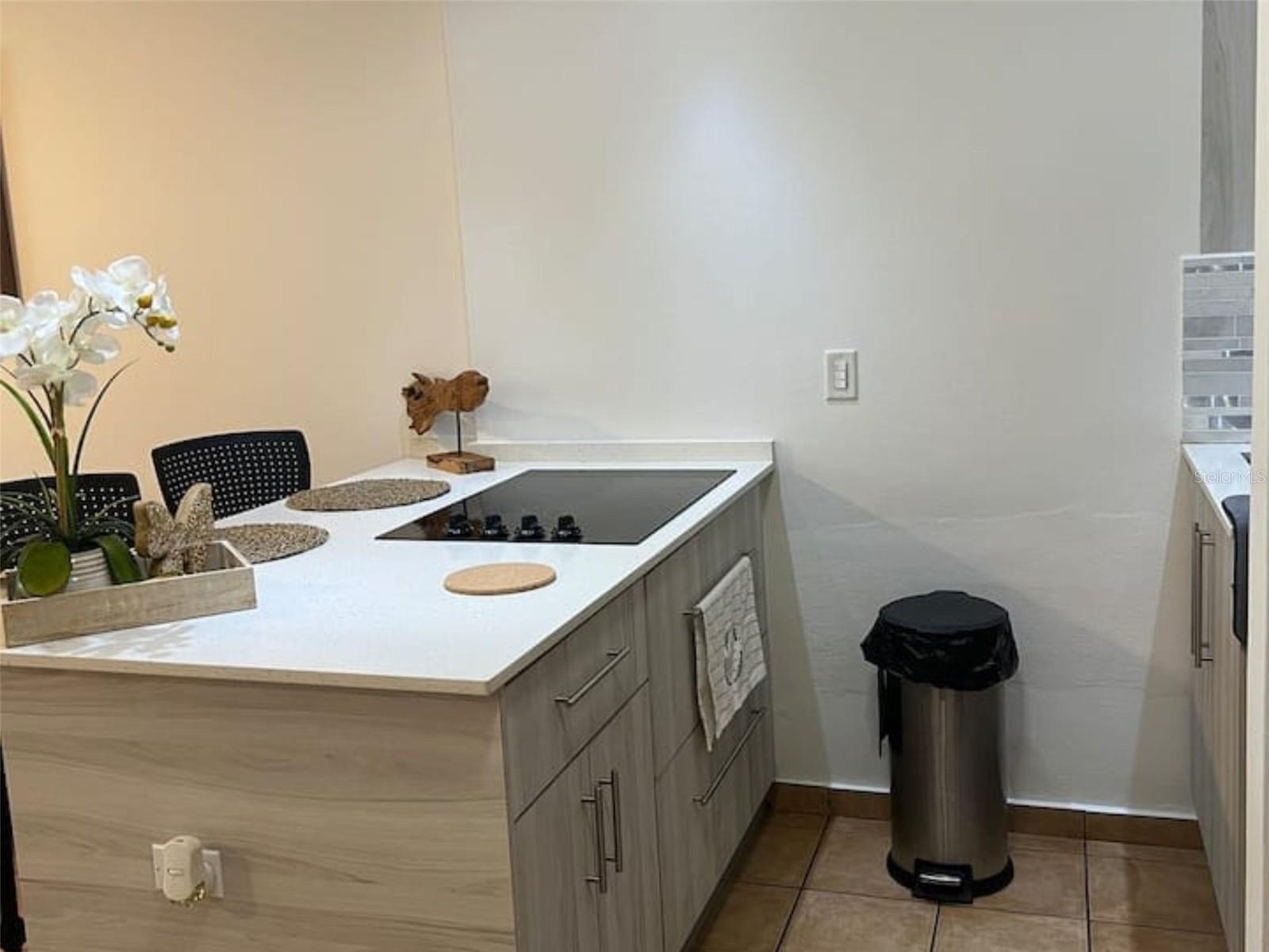 CONDO. CONDADO DEL MAR, SAN JUAN, PR - Residential
