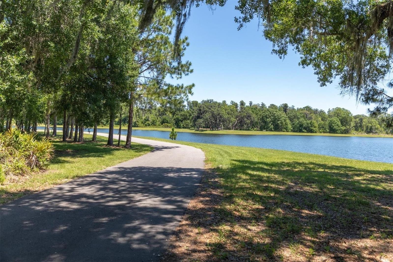 STARKEY RANCH VILLAGE 1 PH 4A-4C - Residential