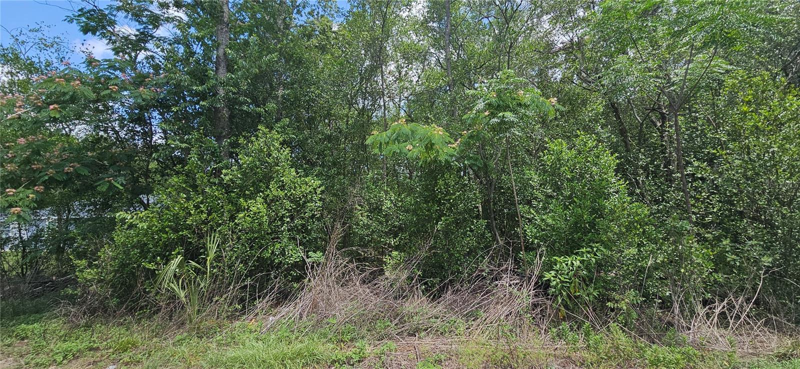 BELLEVIEW HEIGHTS ESTATE - Land