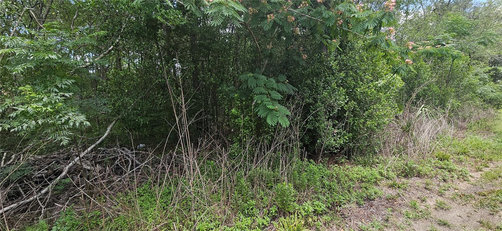 BELLEVIEW HEIGHTS ESTATE - Land
