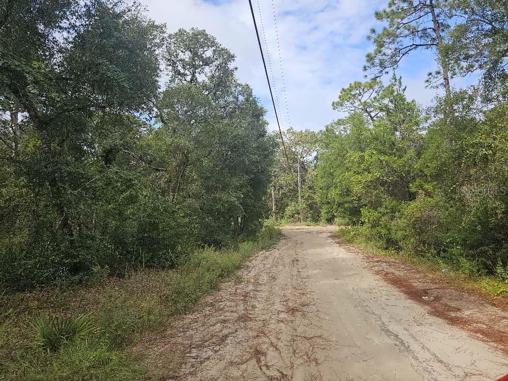 Nice high and dry half acre lot in Forest Lakes Park. Not in a flood zones lot feature a rural setting with lots of trees for privacy. Perfect for the family that likes to enjoy the natural beauty of the land. You can go hiking or possibly fishing and kayaking on some of the local small lakes in the area. This subdivision has dirt roads that require the new owner to pay $25.00 a year to help keep the roads graded and cleared. If you are looking to build your next home site built and mobiles are both allowed.  This price helps make the land affordable for any buyer.