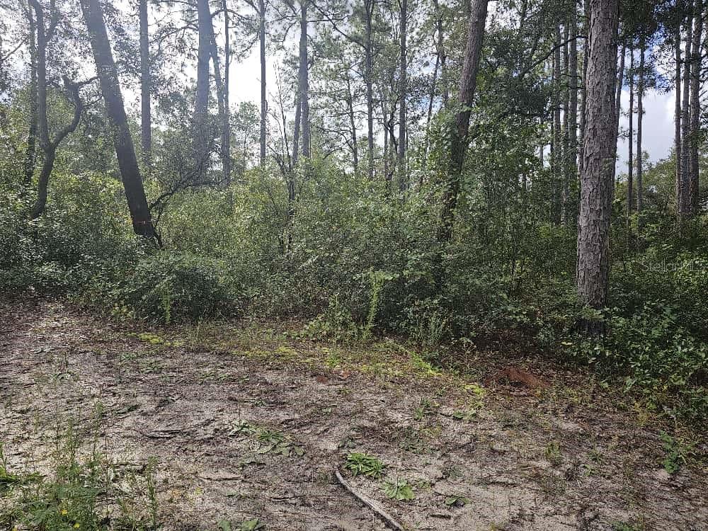 FRST LAKES PARK - Land