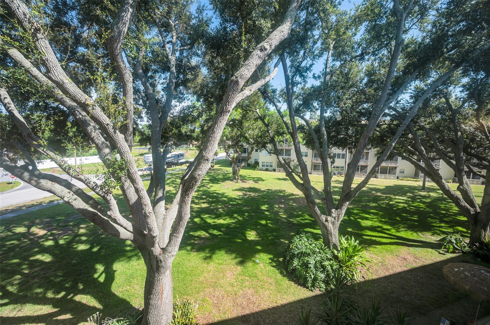 FIVE TOWNS OF ST PETE - Residential