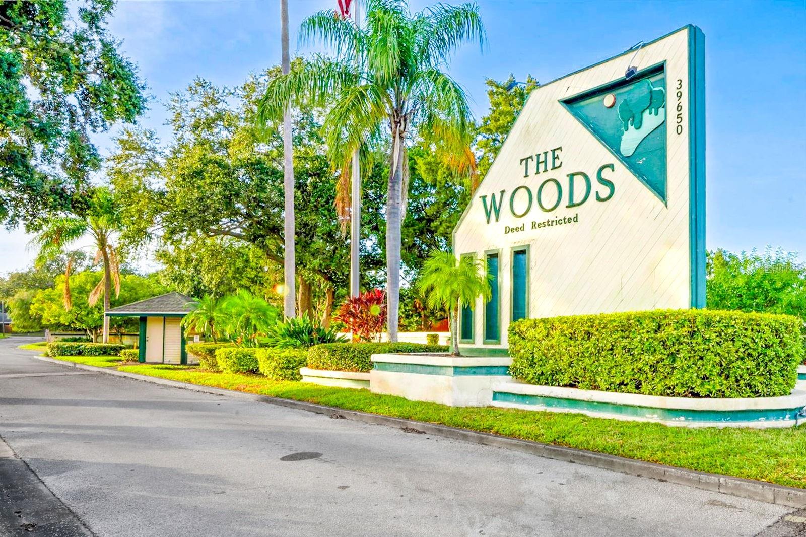 WOODS AT ANDERSON PARK CONDO THE - Residential