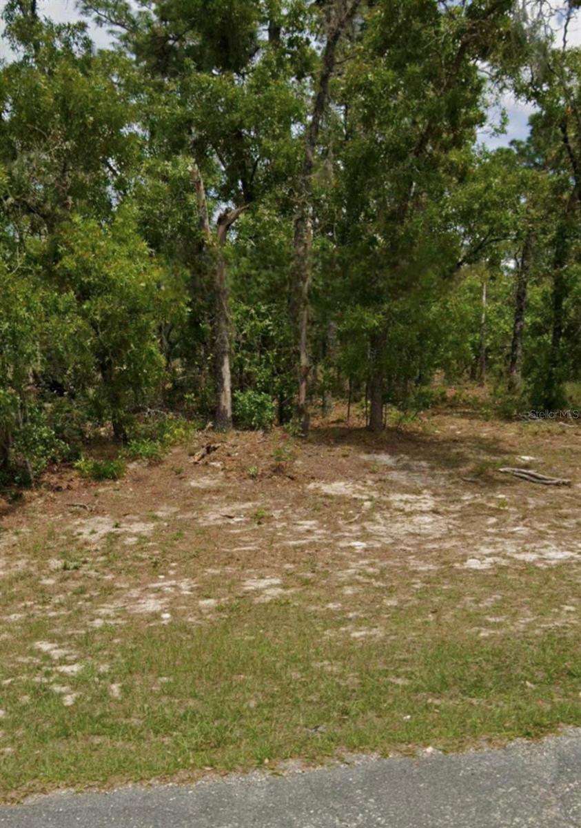 000399 - CITRUS SPRINGS UNIT 23 - Land