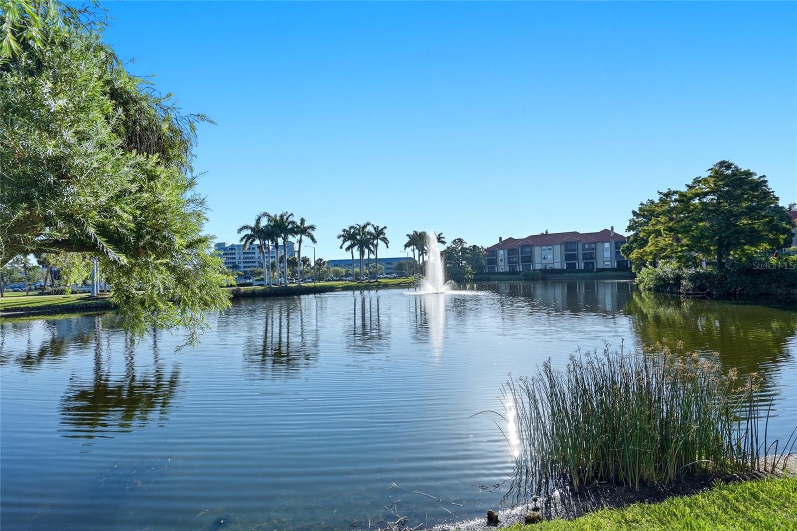 AUDUBON CONDO AT FEATHER SOUND - Residential