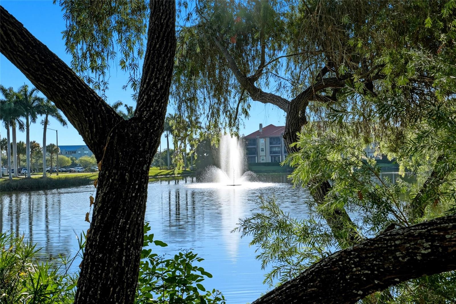 AUDUBON CONDO AT FEATHER SOUND - Residential