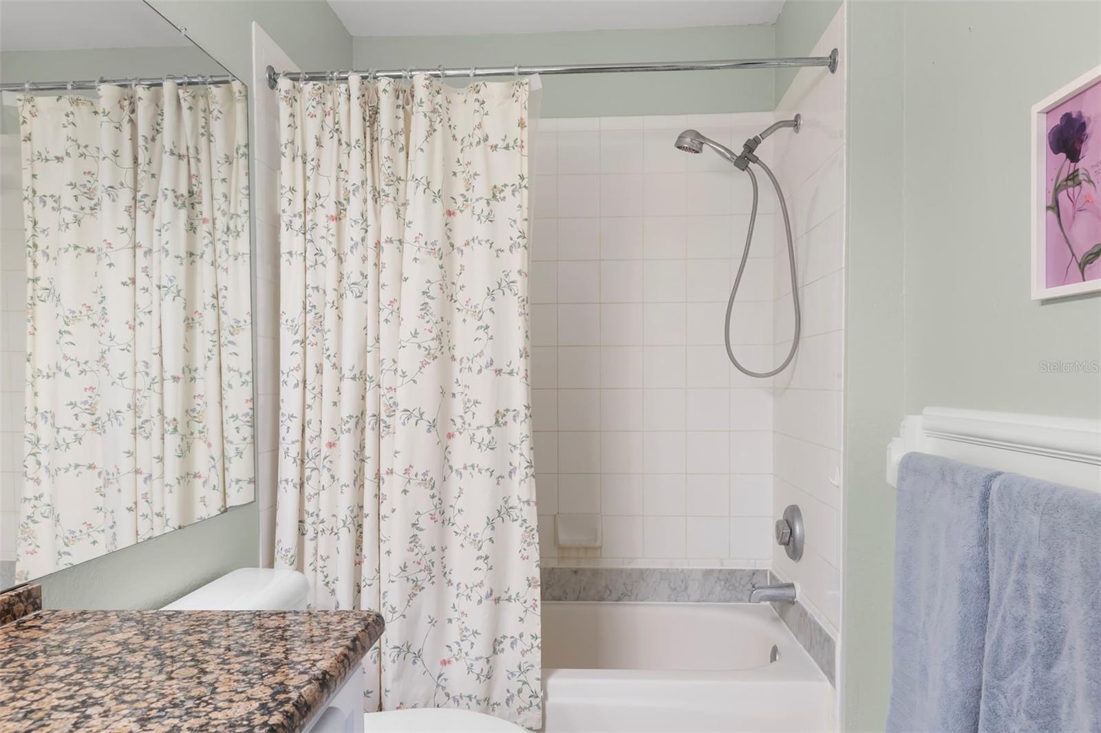LAKEVIEW AT CALUSA TRACE - Residential