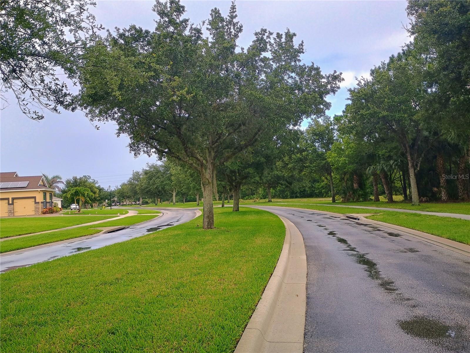 WOODSHIRE PRESERVE - Residential