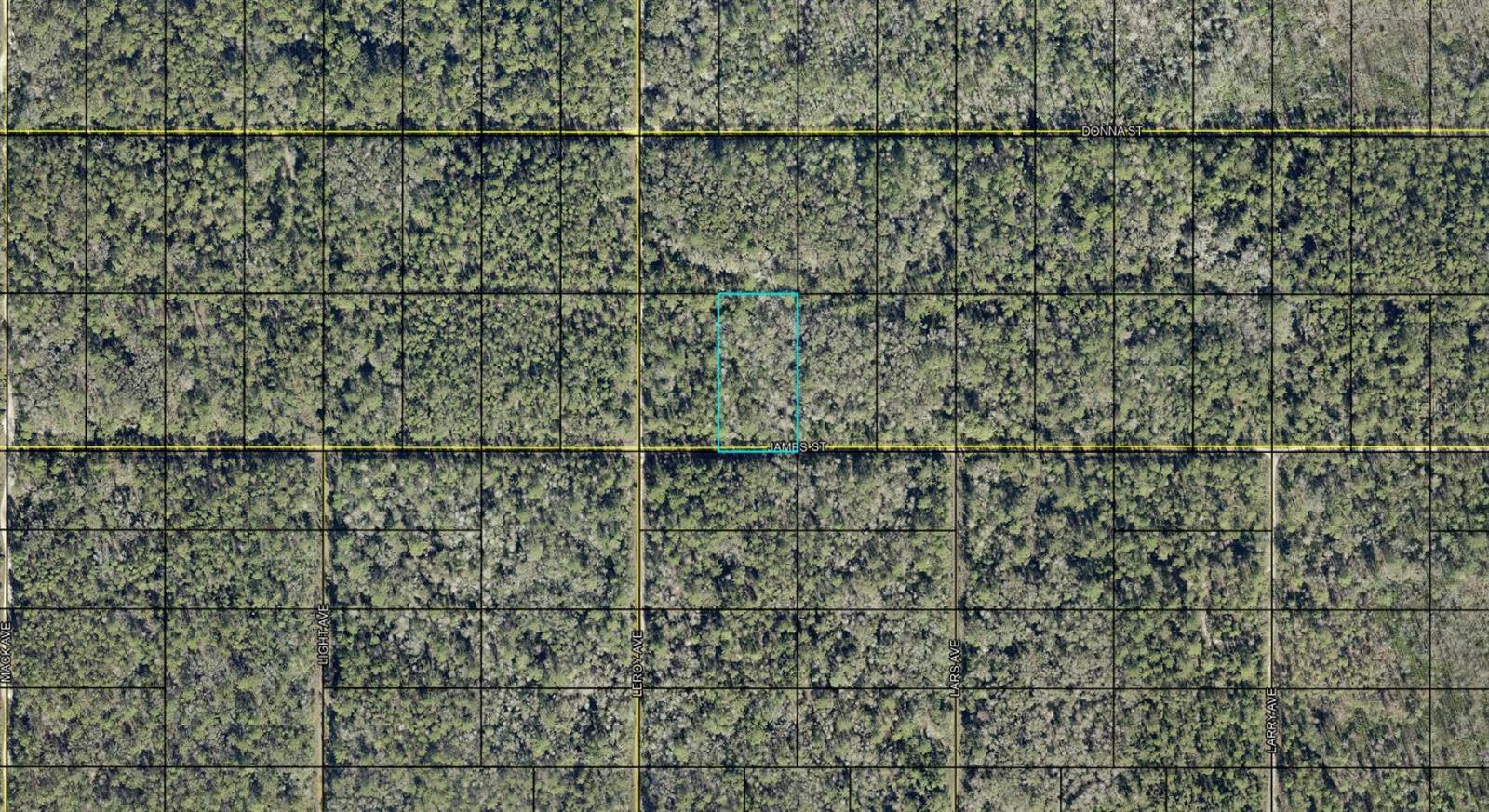 This is an assignment of contract. Escape the city and embrace the beauty of country living with this oversized wooded lot located on James Street in the desirable Flagler Estates community of Hastings, Florida. Surrounded by natural Florida landscape and peaceful privacy, this property offers the perfect setting to build your dream home, place a manufactured home, create a weekend retreat, or secure a long-term investment in one of the area's growing communities.

This spacious parcel provides plenty of room for your custom home, garage, workshop, RV, boat, garden, or outdoor recreational space while still maintaining the privacy and tranquility that Flagler Estates is known for. Enjoy the charm of rural living without sacrificing convenience, as the property is within driving distance to St. Augustine, Palm Coast, Palatka, beaches, shopping, restaurants, schools, and major highways.

With new development continuing throughout the area, this property presents an excellent opportunity for builders, investors, or buyers looking to own affordable Florida land with future potential. Whether you are ready to build now or buy and hold, this lot offers flexibility, value, and endless possibilities in a peaceful natural setting.