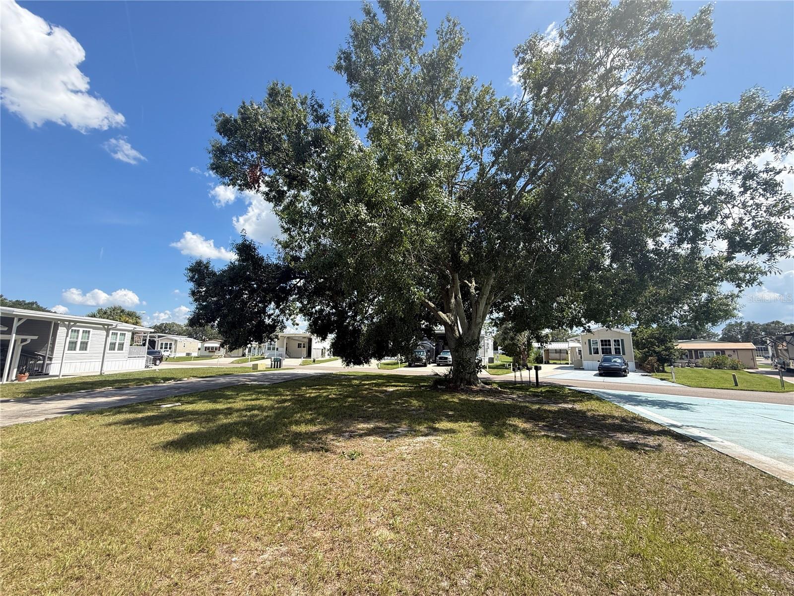 MOUNT OLIVE SHORES PH 01 - Land