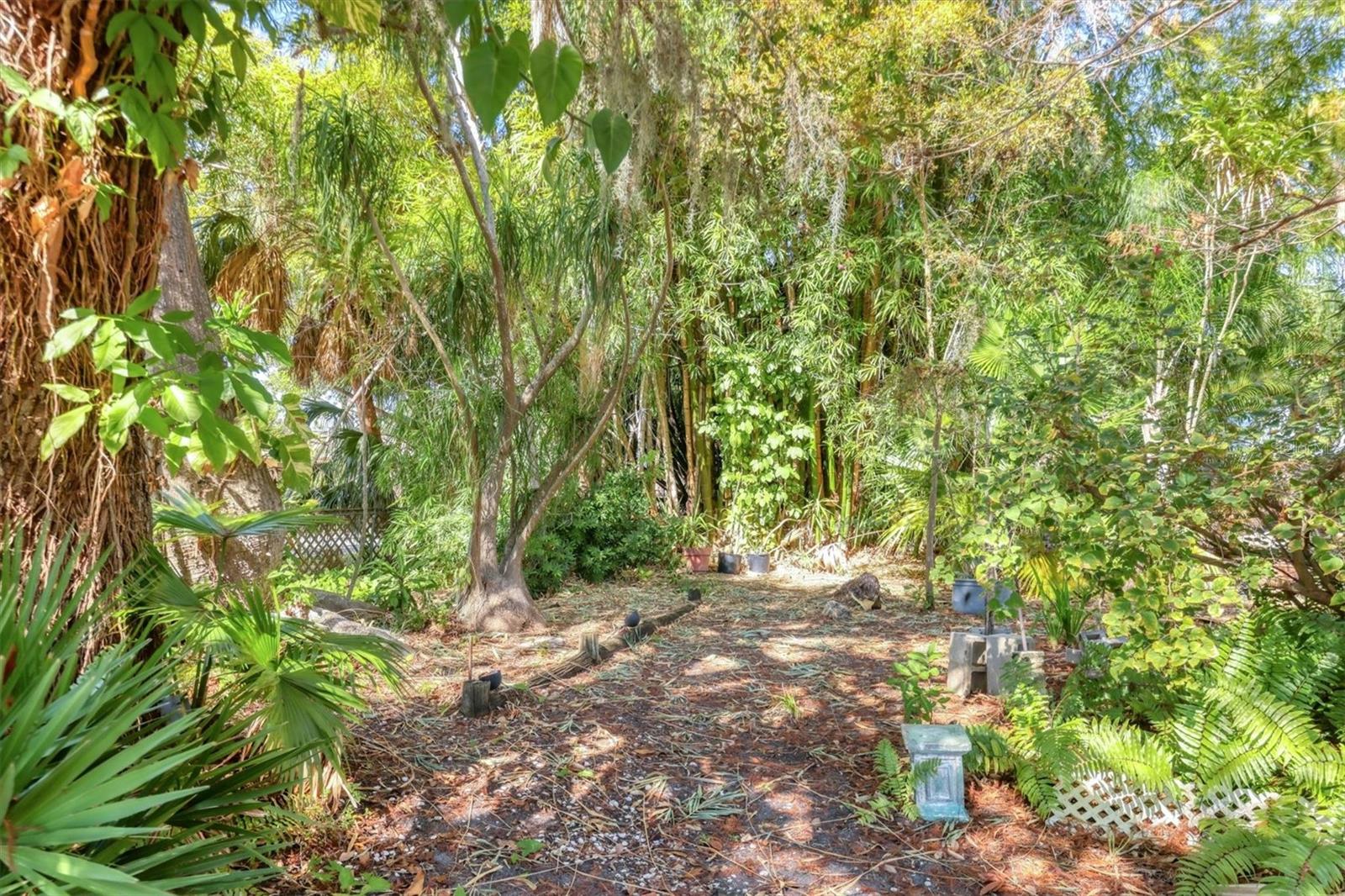 FOREST HILLS - Residential Income