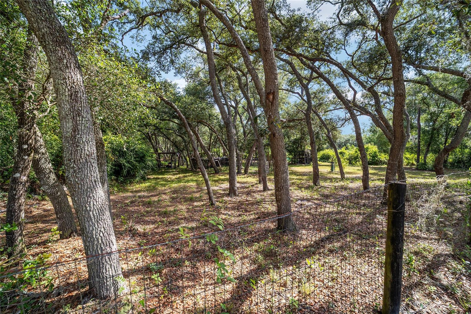FLORIDA HLNDS - Residential