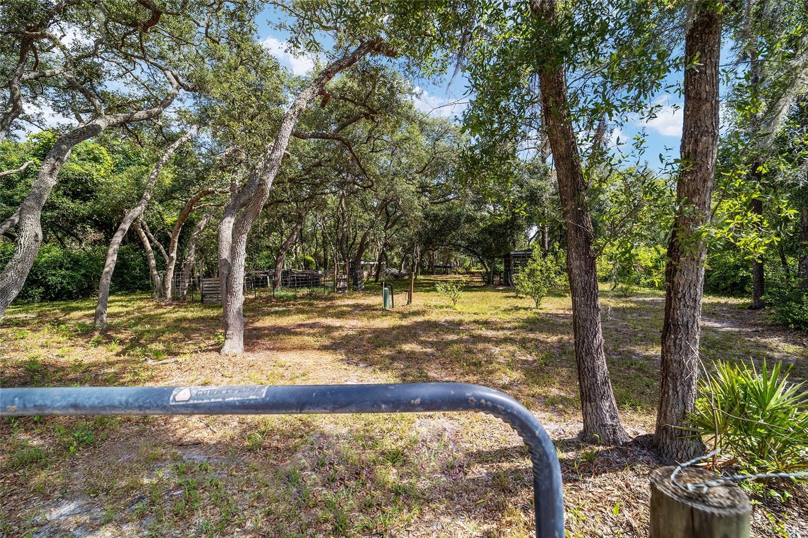FLORIDA HLNDS - Residential