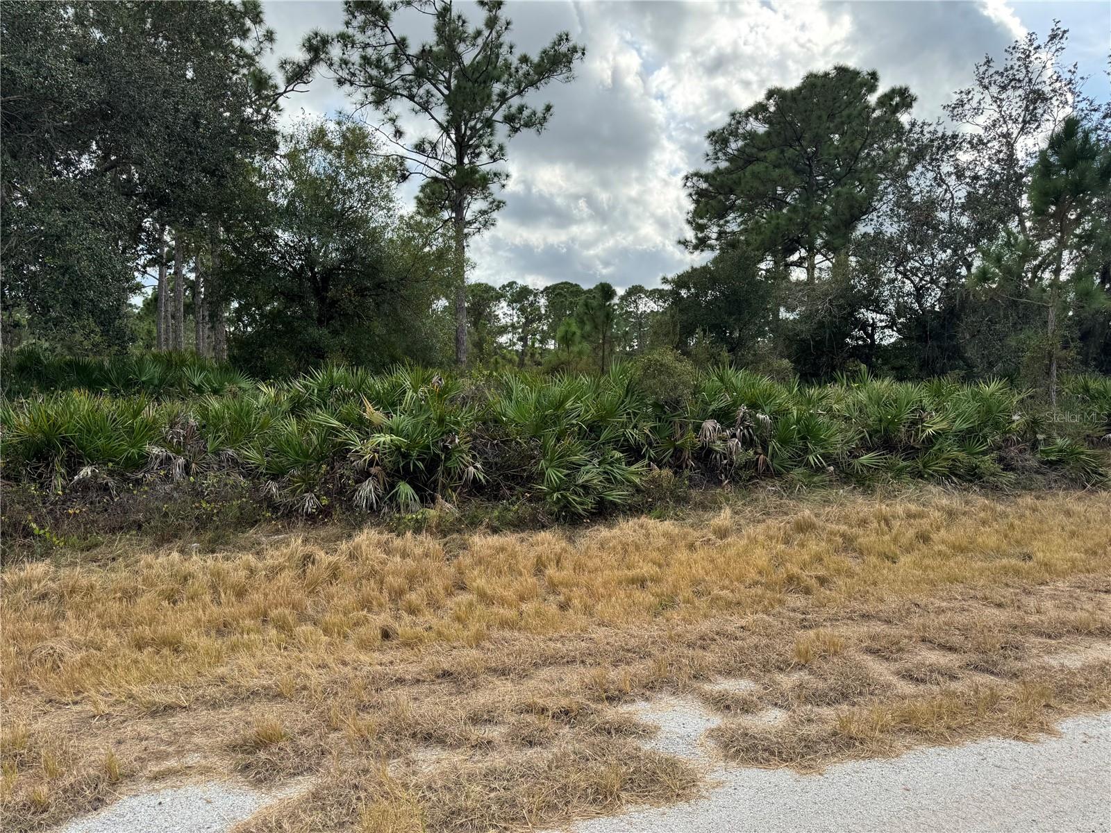 This vacant lot on Broward Avenue is your opportunity to secure land in one of Southwest Florida's fastest-growing areas. Located in a new development, the property currently features primitive roads and no utilities making it ideal for buyers seeking long term investment potential or those looking to build off grid. This is a spacious lot with room for your future vision. It is surrounded by natural Florida landscape and emerging development. There are no HOA or deed restrictions giving you freedom to build to your own lifestyle. Conveniently positioned near I-75, US-41, shopping, dining and the Gulf Coast beaches once infrastructure expands. This is a blank canvas in a community on the rise. Whether you are planning for the future or looking for a private retreat this is a nice property.