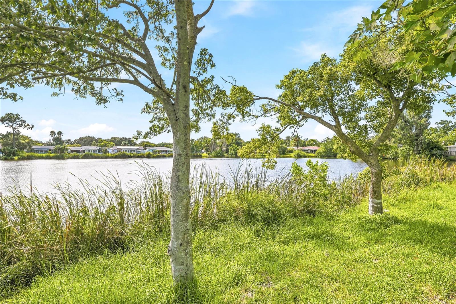 MEADOWS - Residential