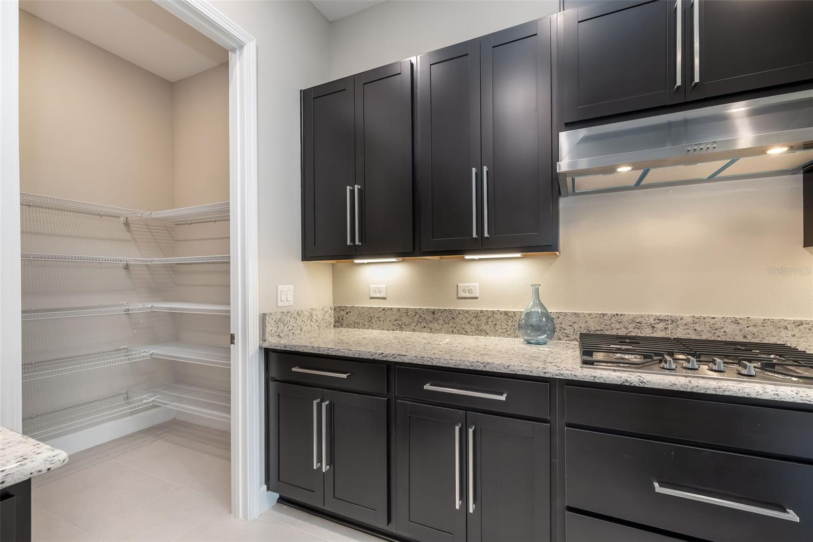 REVERIE/PALM COAST PH 1 - Residential